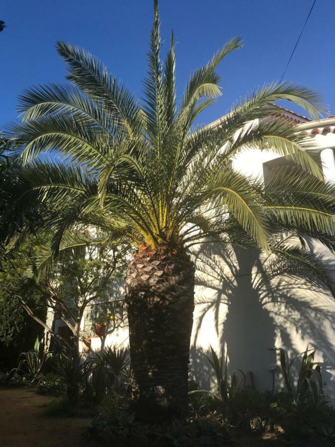 Rez De Villa Pebrier Frejus Bagian luar foto