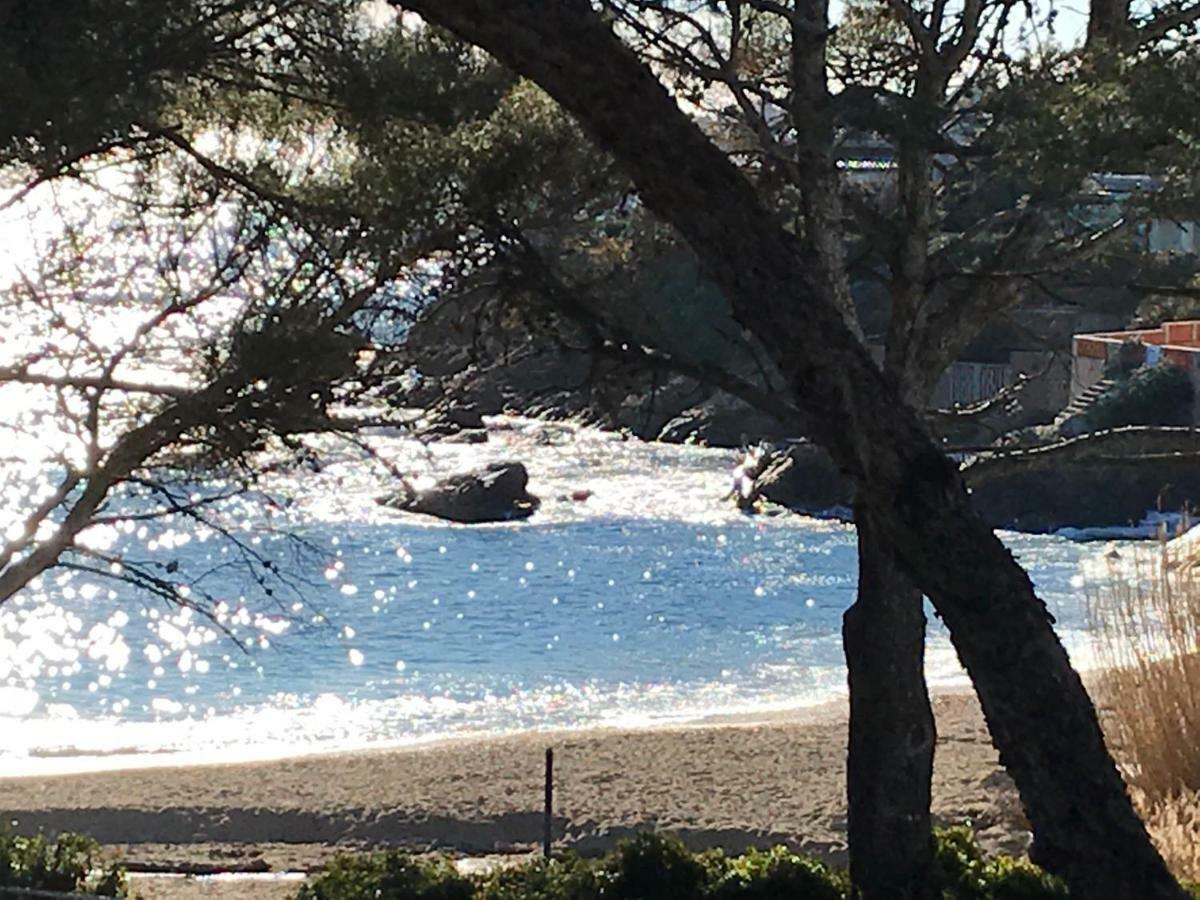 Rez De Villa Pebrier Frejus Bagian luar foto